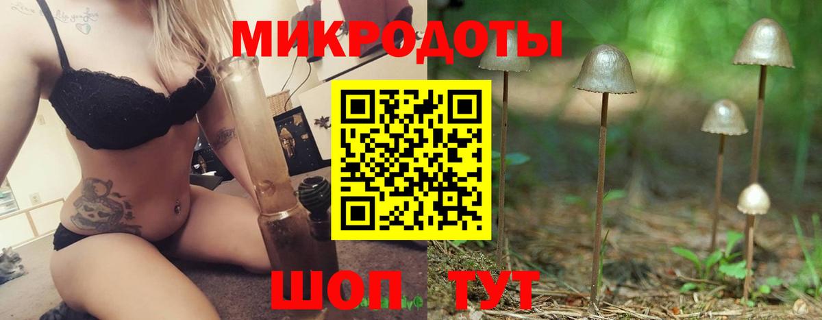 Галлюциногенные грибы Psilocybine cubensis Мценск